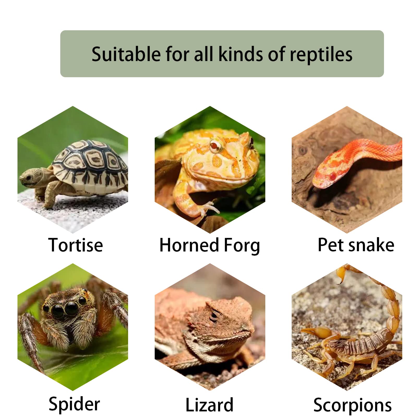 Kathson Turtle Basking Platform durable resin resists deformation for long-term use.