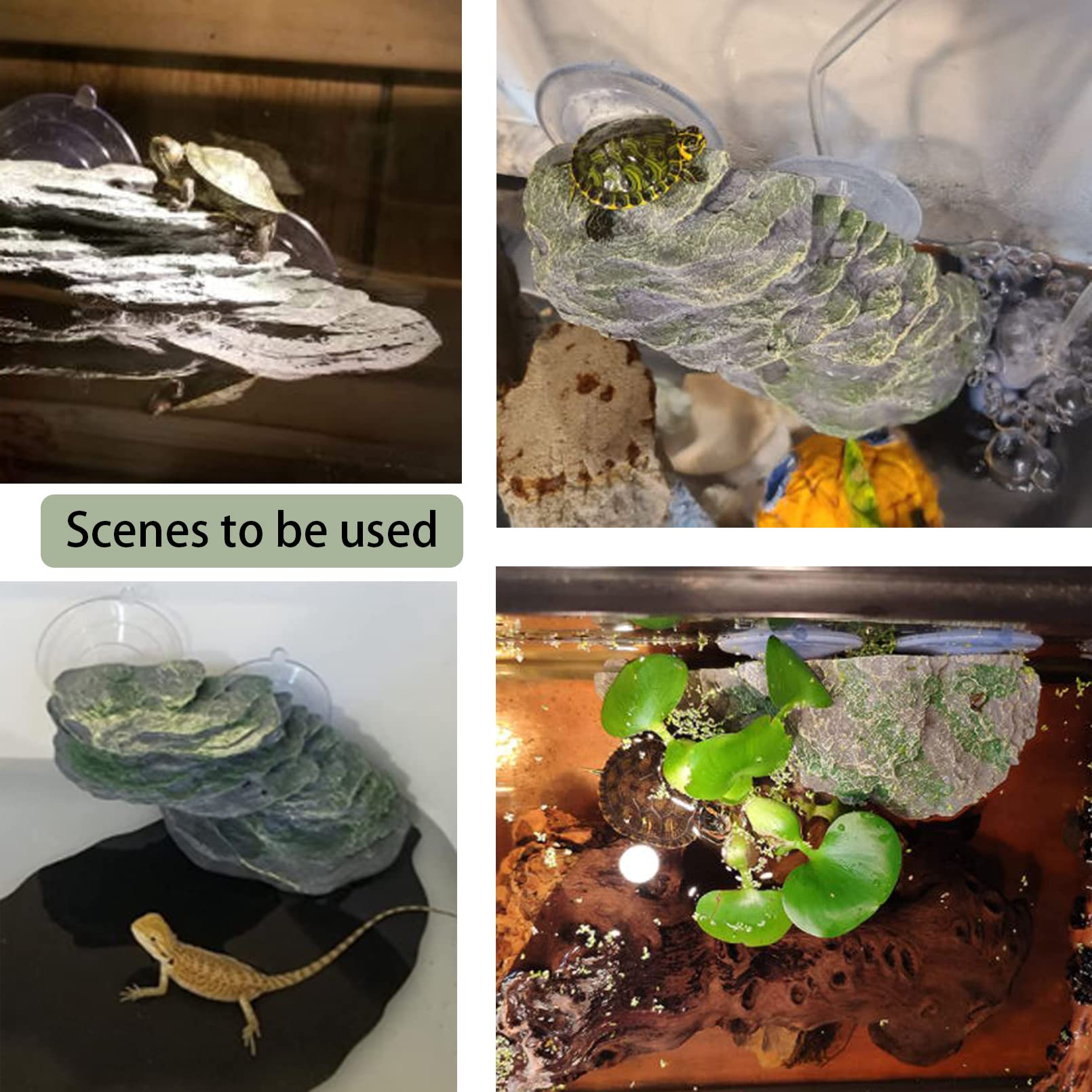 Kathson Turtle Basking Platform small-size option fits compact habitats.
