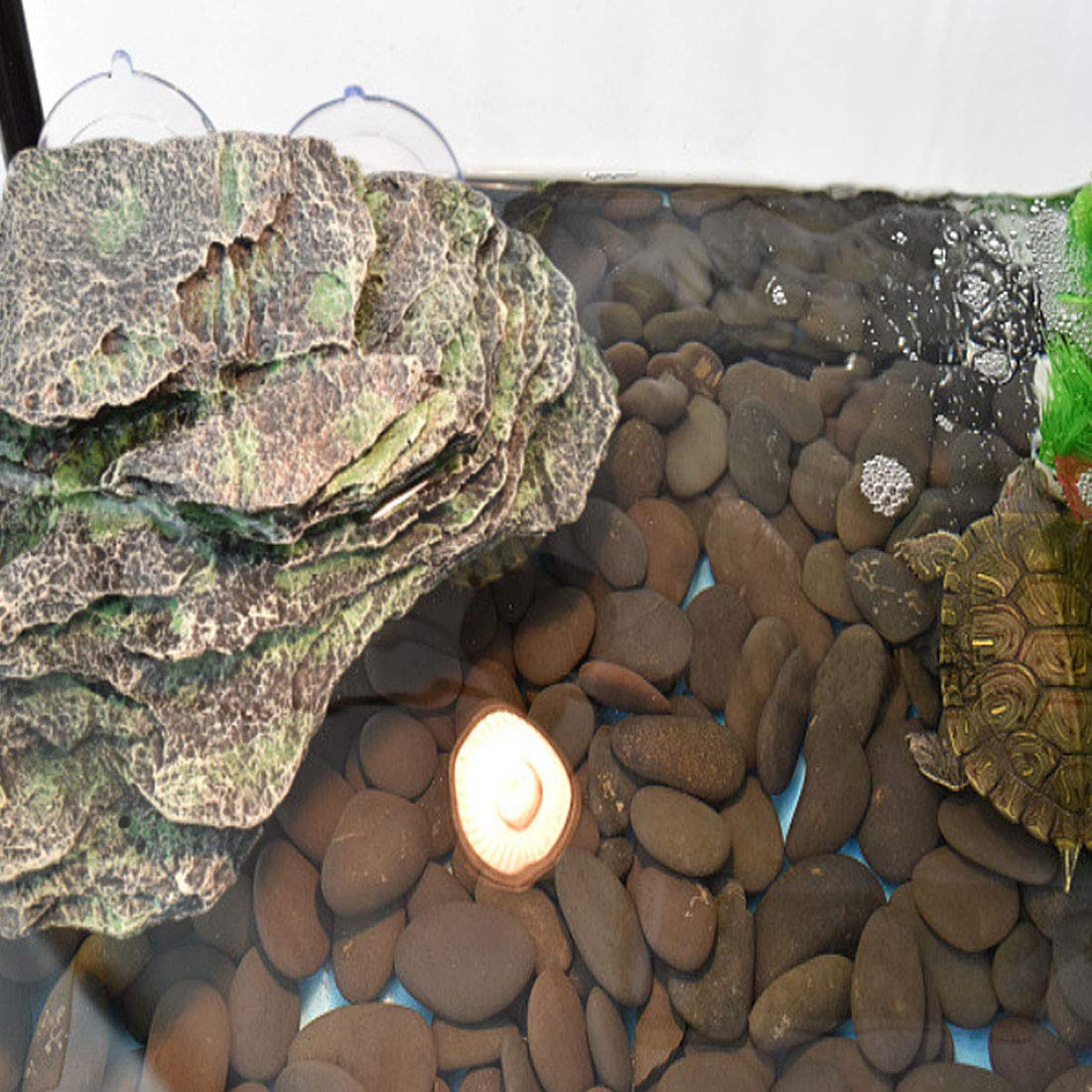 Kathson Turtle Basking Platform water-habitat use supports both fresh and saltwater setups.