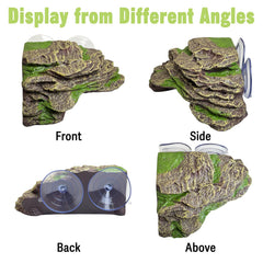 kathson turtle platform natural rock look blends with habitat