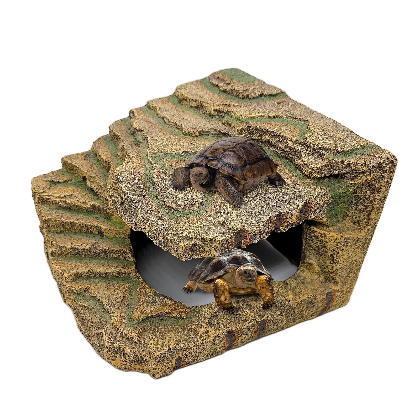 Kathson Turtles Basking Platform showcases a natural basking spot for sun-loving reptiles, promoting activity and comfort