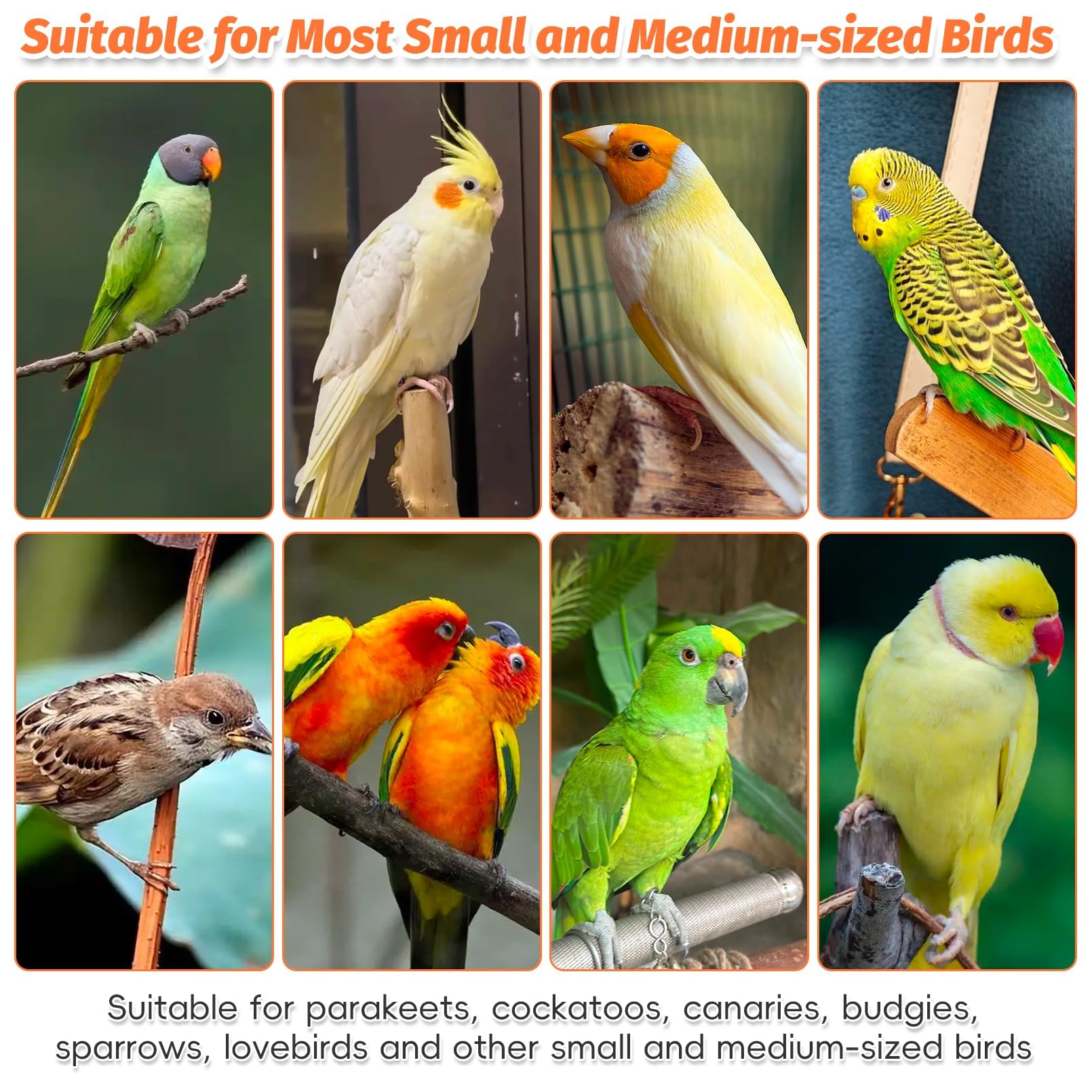Kathson wood bird playground portable tray – easy cleanup after playtime.