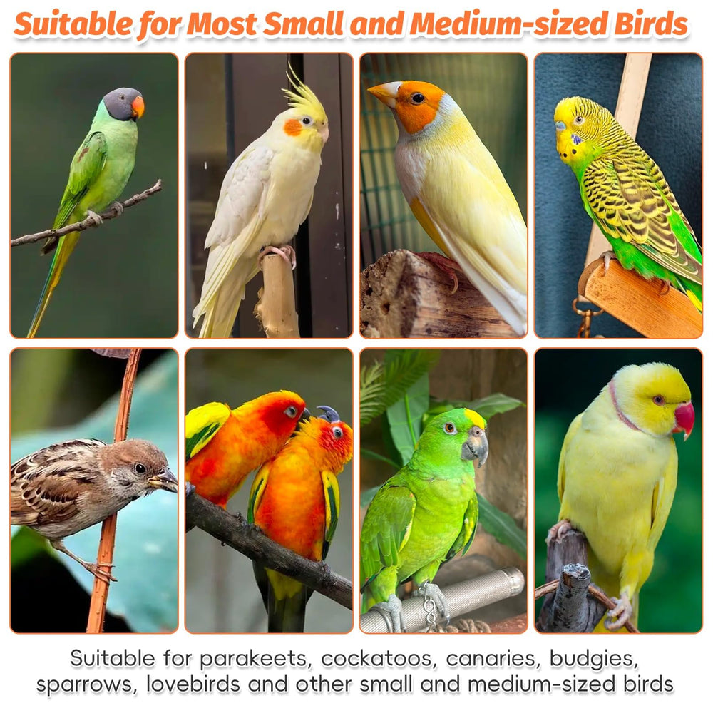 Kathson wood bird playground portable tray – easy cleanup after playtime.