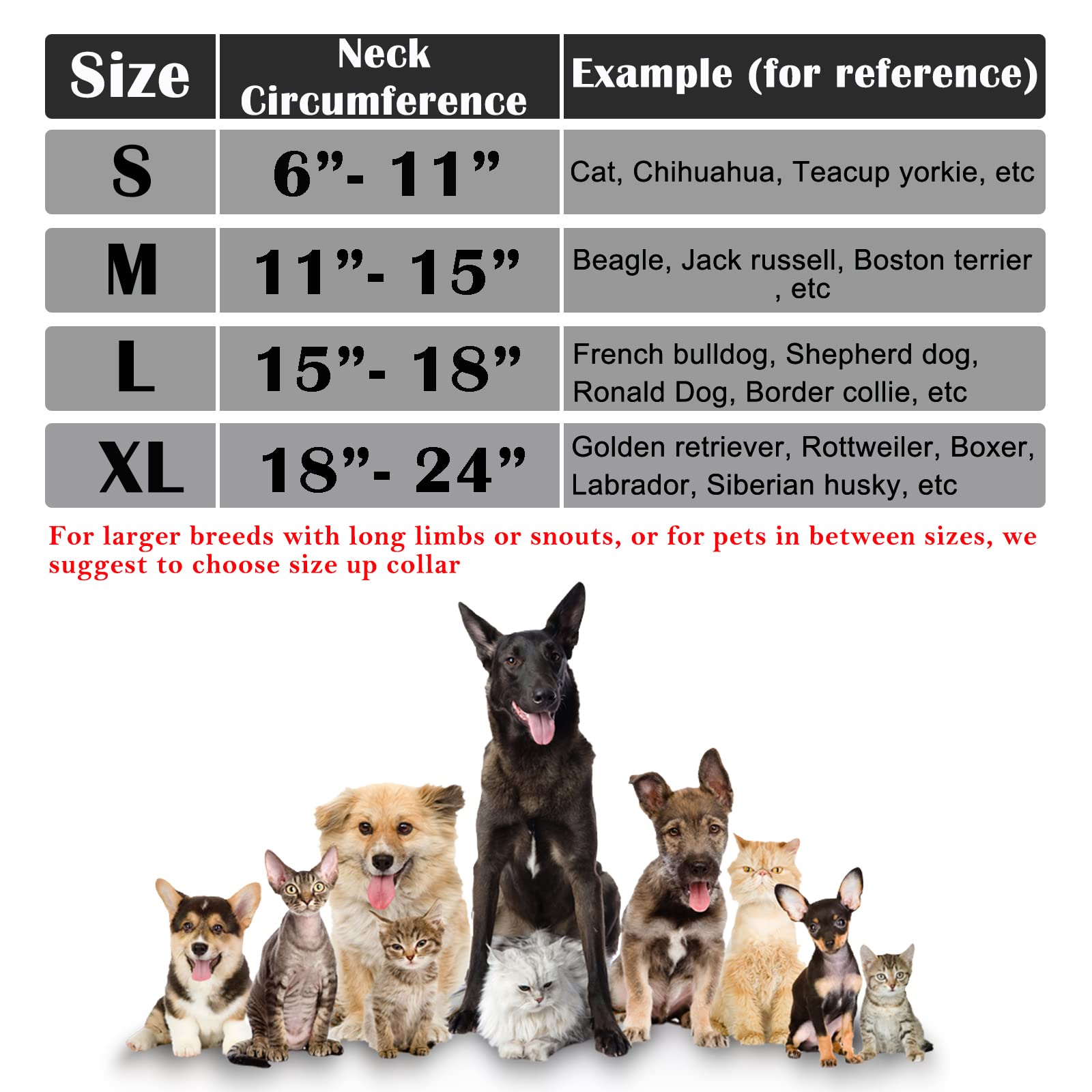 Katoggy collar inflable con cierre, ajuste seguro para razas pequeñas