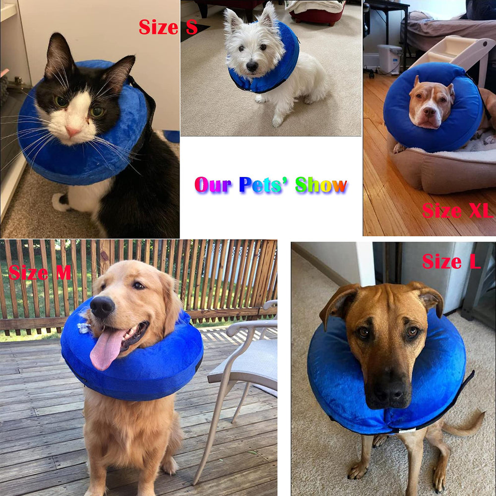 Katoggy inflatable-dog-cone-collar being cleaned to highlight easy maintenance.