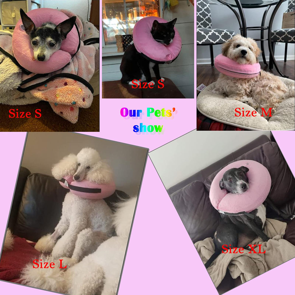 Katoggy inflatable collar is easy to clean and store between uses.
