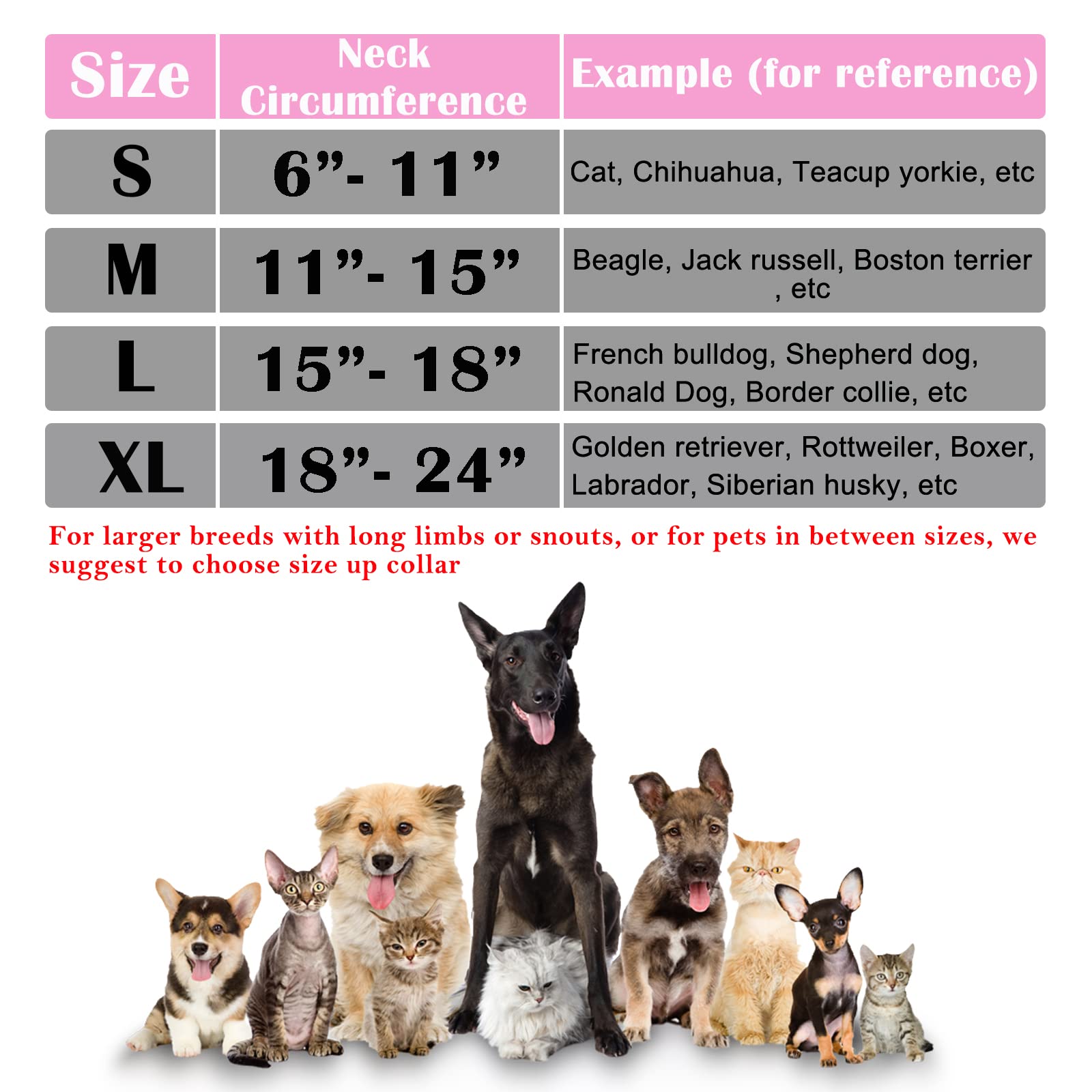 Katoggy inner PVC tube maintains shape to help prevent licking during movement.