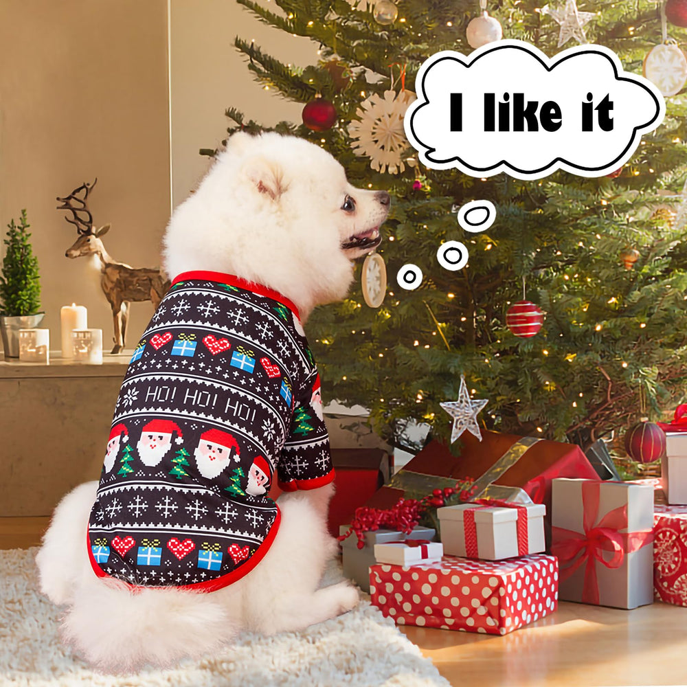 Gift-ready katolk packaging with six colorful dog shirts
