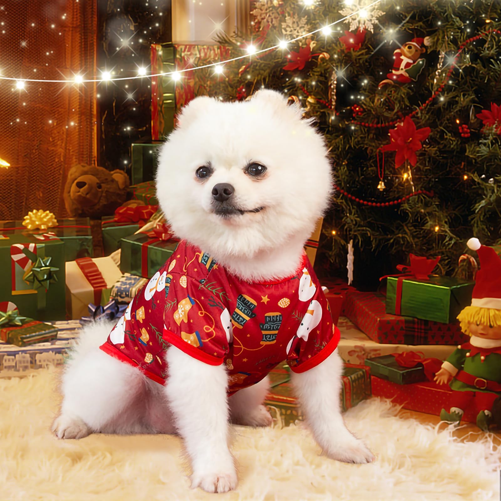 Seasonal katolk dog clothes showcasing durable fabric for year round use