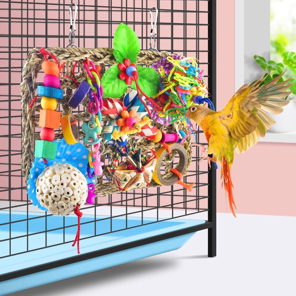 KATUMO wall-mat habitat décor invites natural exploration for small to medium birds.