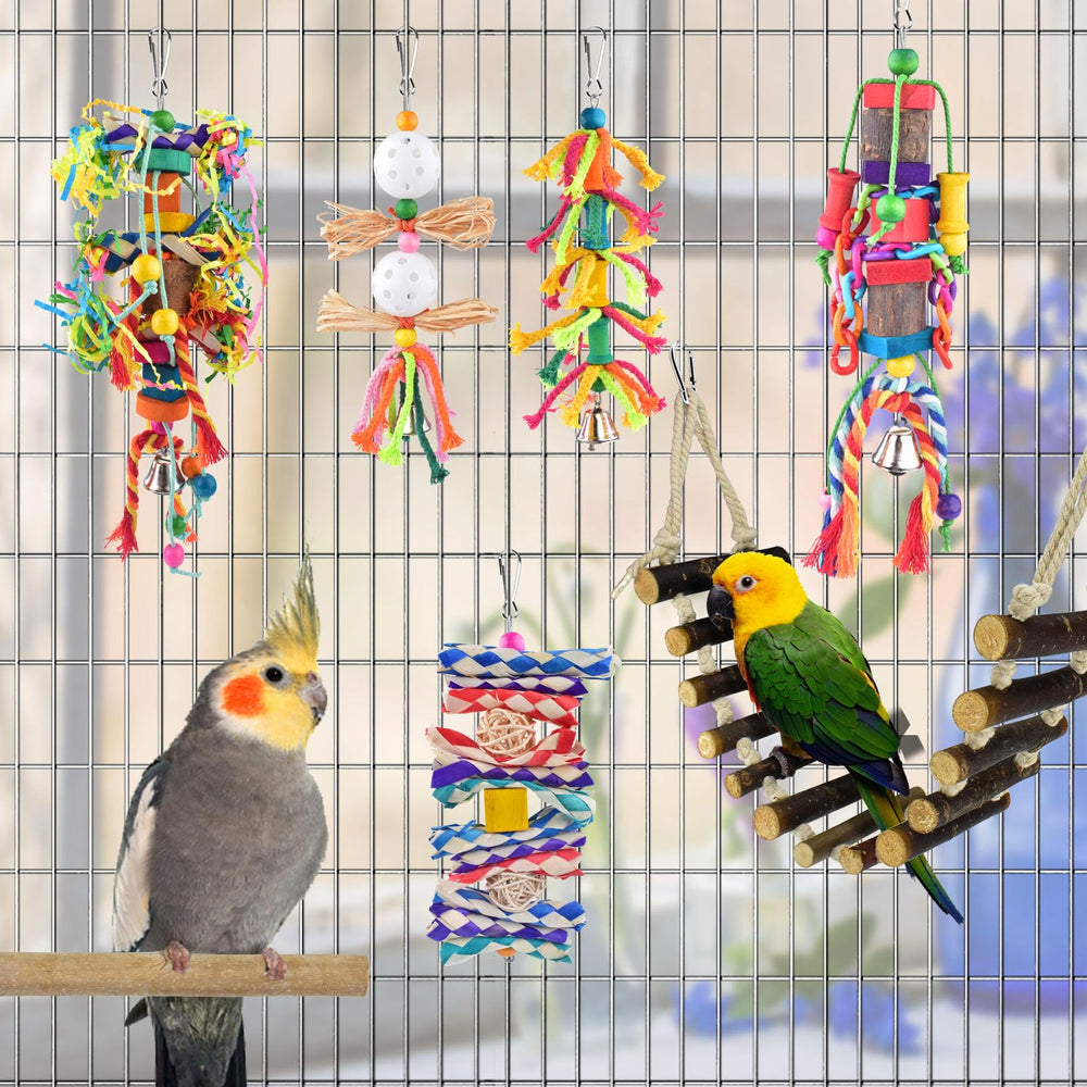 KATUMO cage accessories set brightens cage while saving space and reducing boredom.