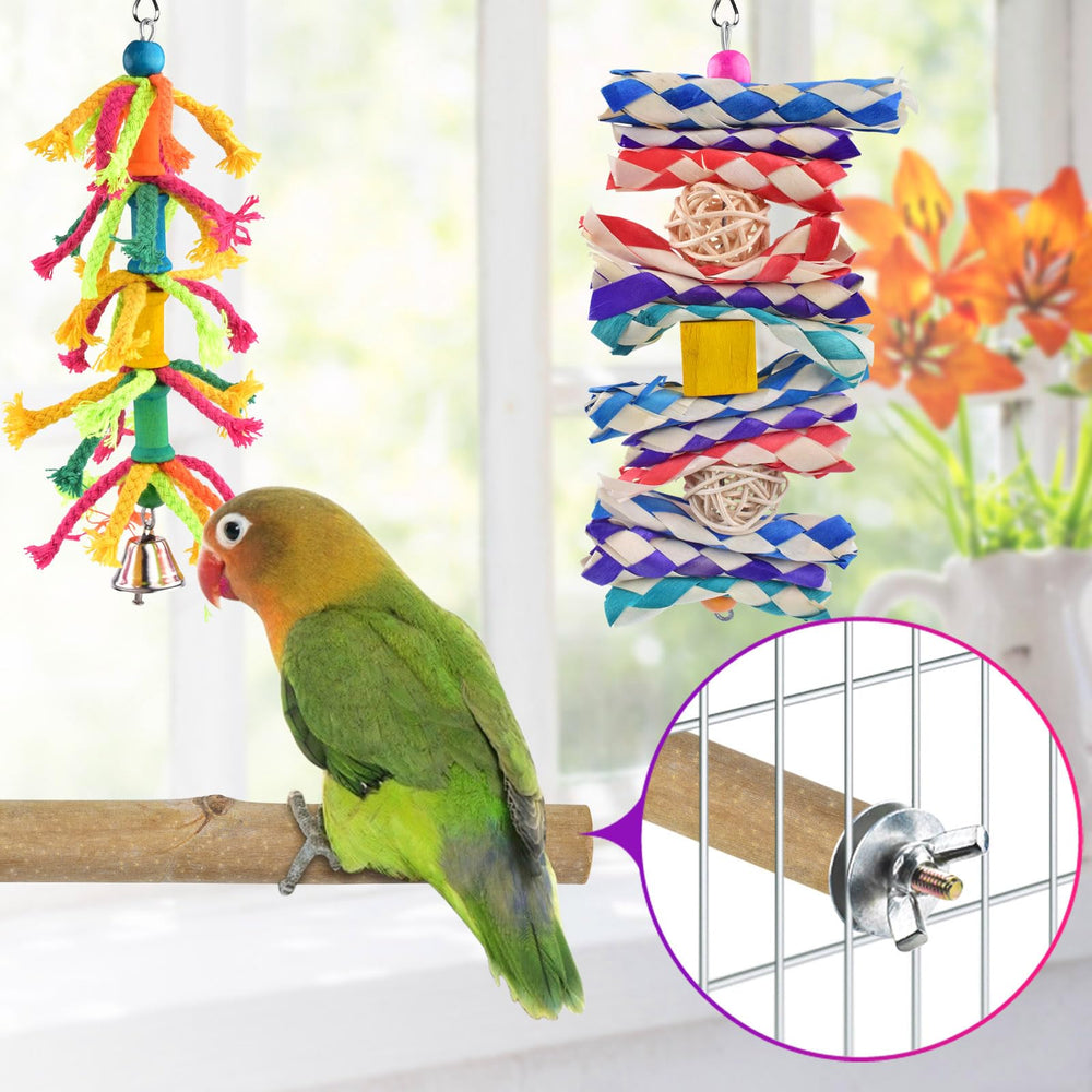 KATUMO conure hanging bells toy adds engaging sounds and foraging interest.