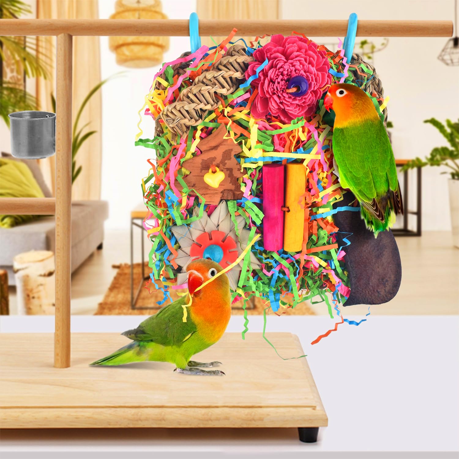 Katumo diseño compacto de 6.6 pulgadas para aves pequeñas.