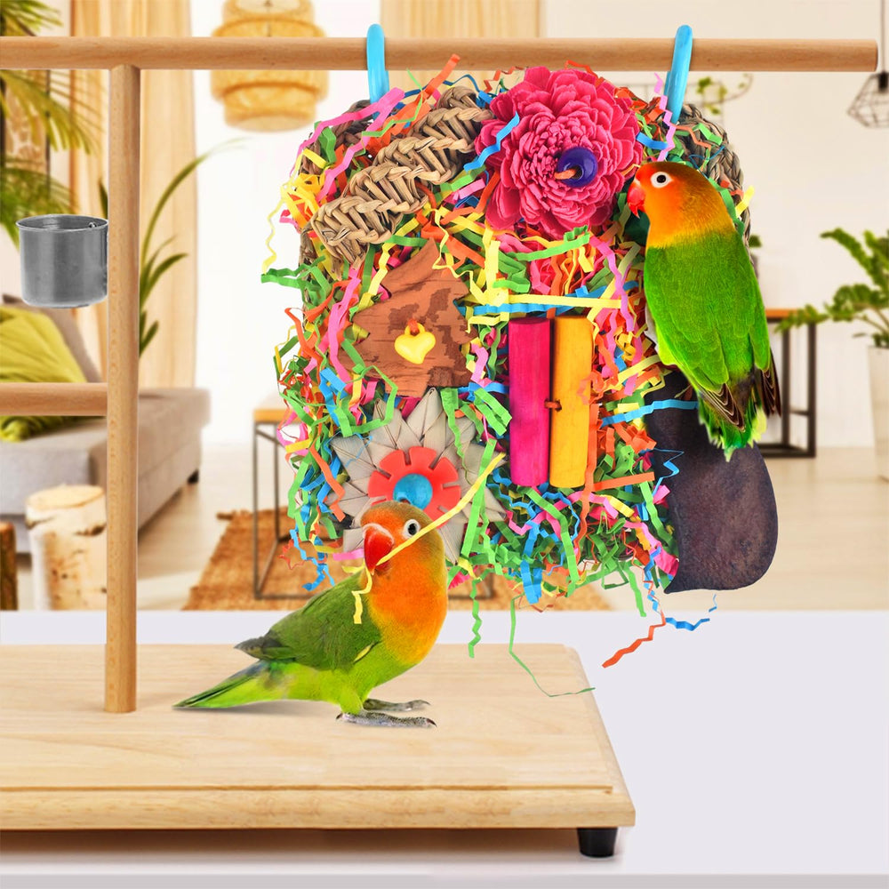 Katumo diseño compacto de 6.6 pulgadas para aves pequeñas.