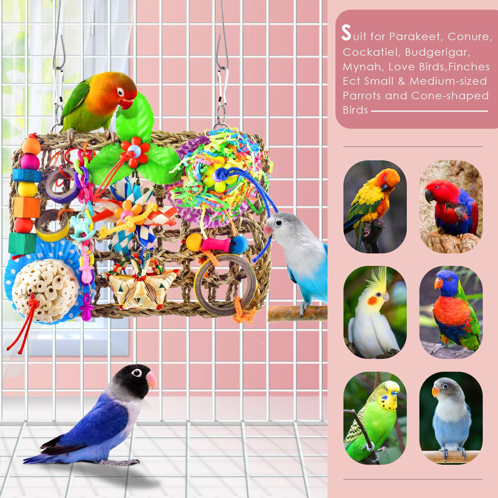 KATUMO easy-install hooks enable quick setup in any bird habitat.