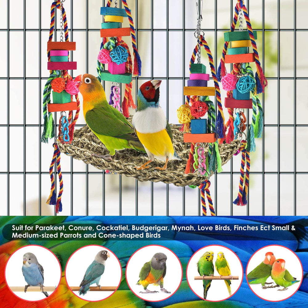 KATUMO elevated perch design provides a new climbing and perching spot