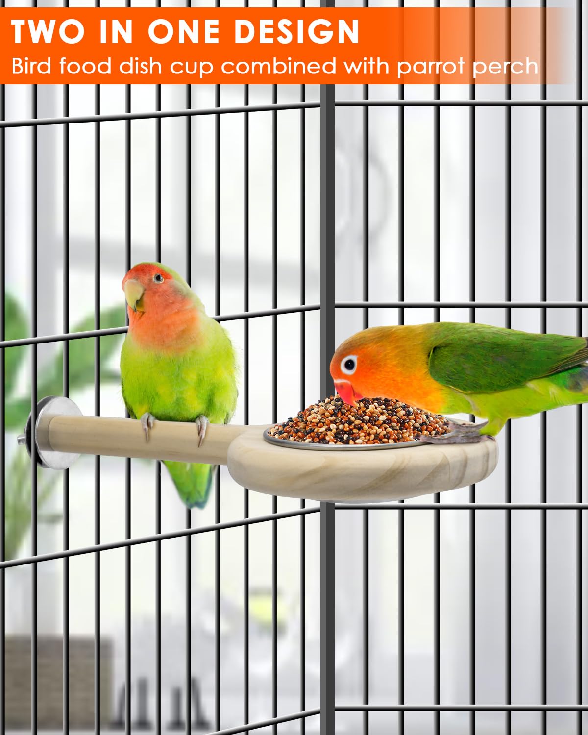 KATUMO elevated perch keeps food tidy and prevents spillover.