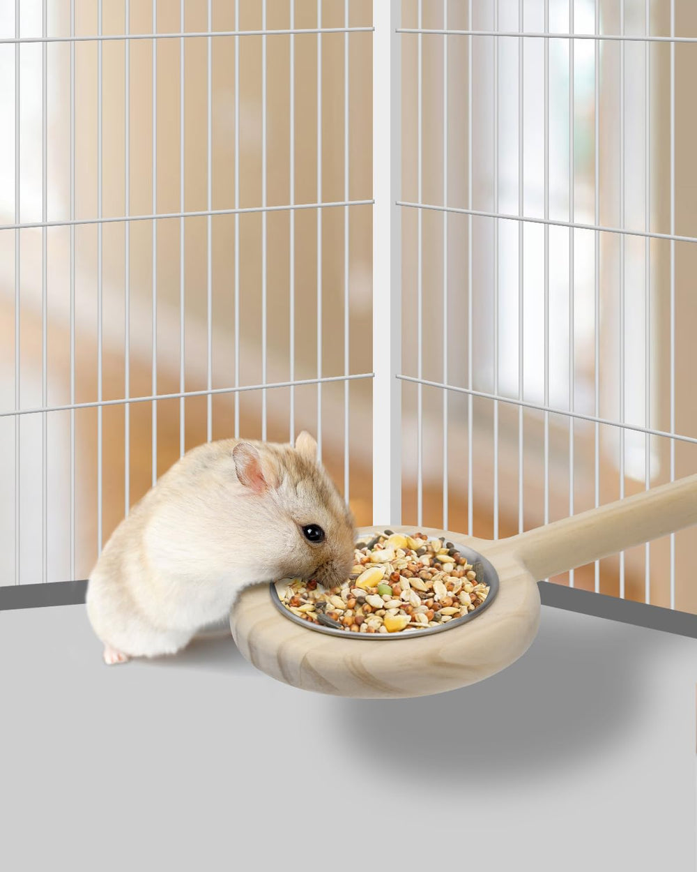 KATUMO pack-ready setup helps maximize small pet feeding options.