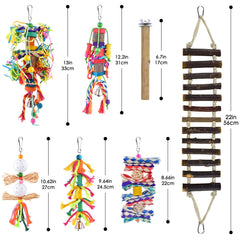 KATUMO parakeet swing and ladder demonstrates climbing and perching activity.