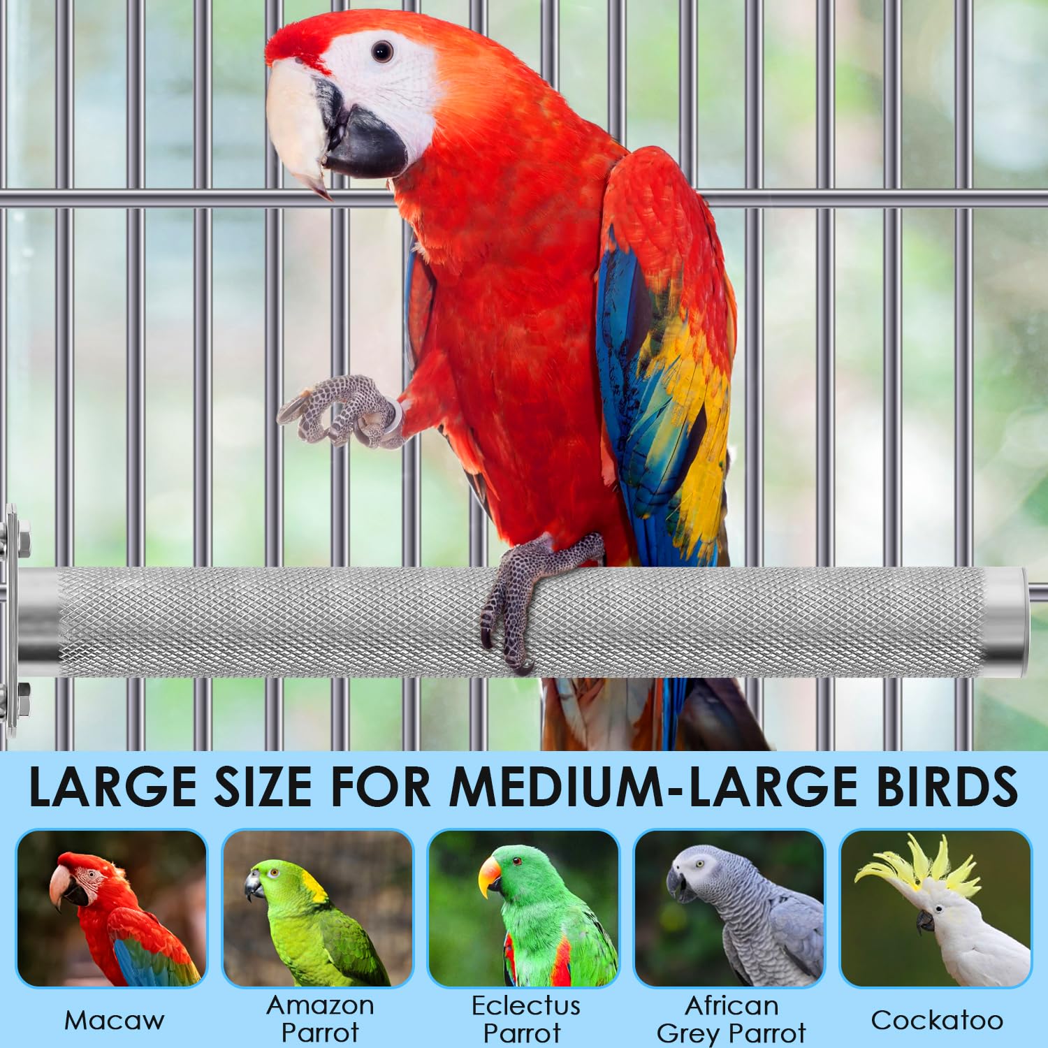KATUMO Parrot Perch 11.8-inch length fits multiple parrot sizes.