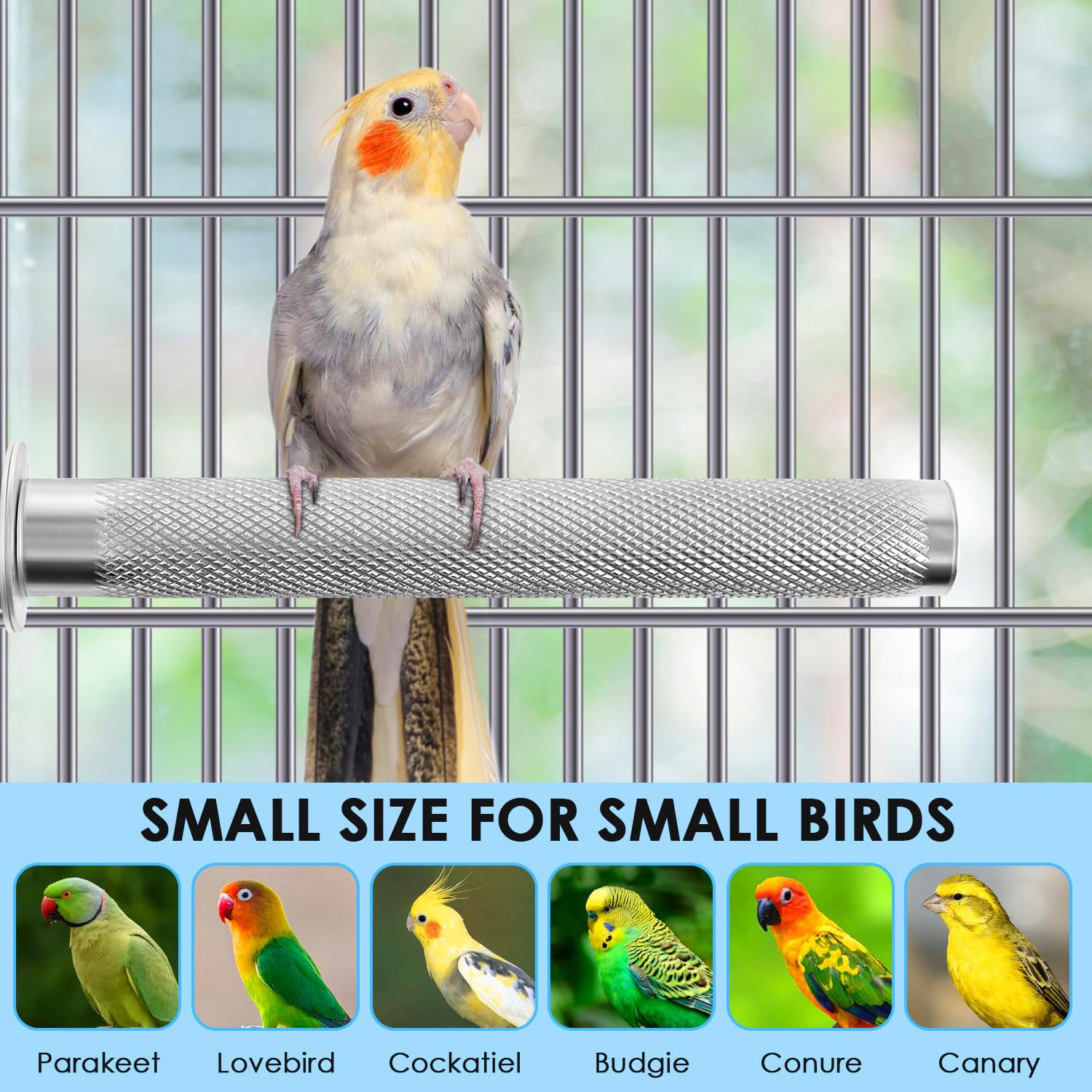 KATUMO Parrot Perch ideal for African Grey and friends.