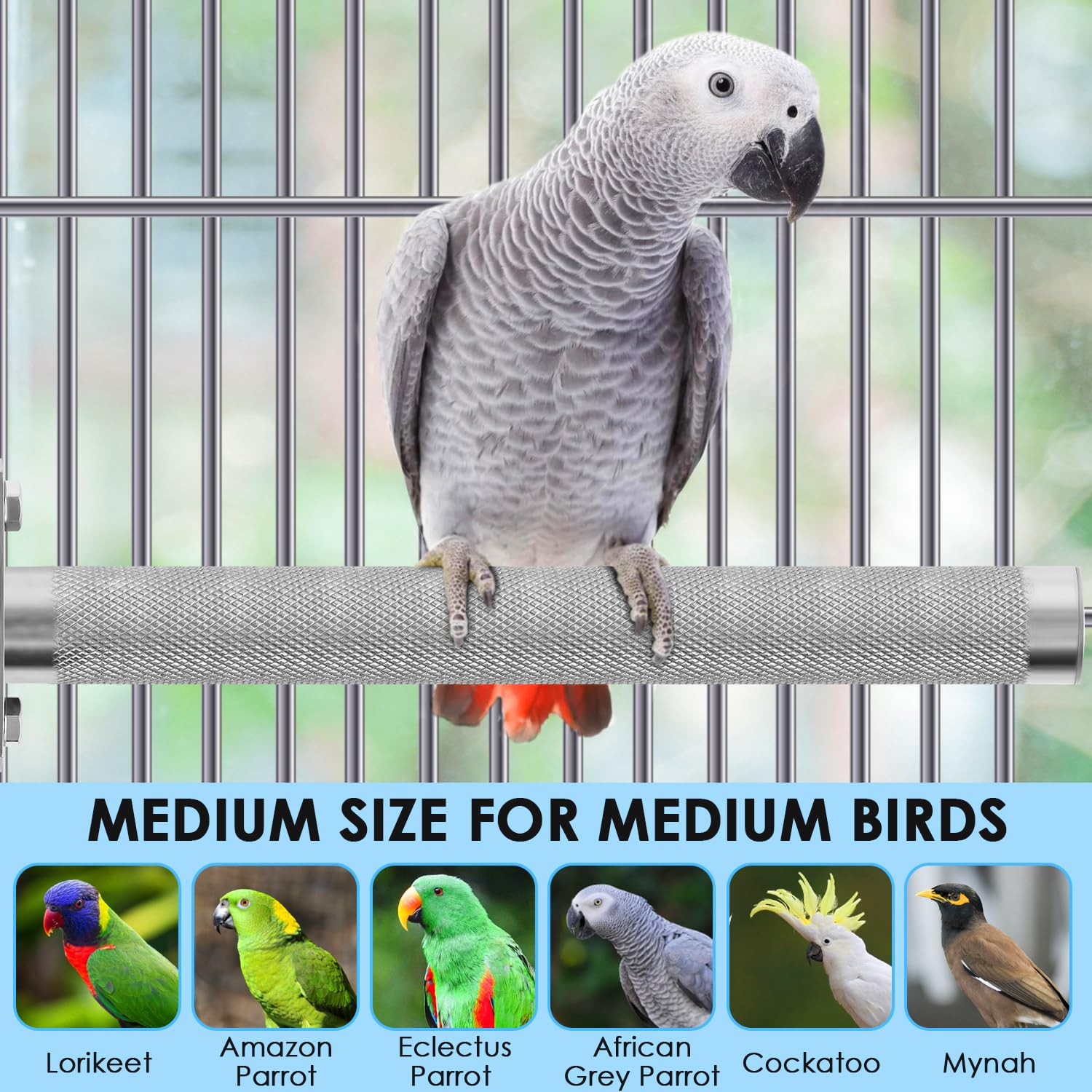 KATUMO Parrot Perch suits small to large parrots securely.