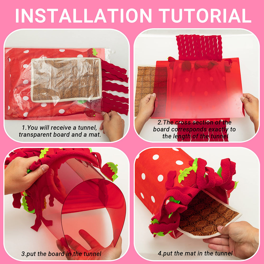 Kaycowza assembly includes tunnel, cushion, and transparent board for quick setup