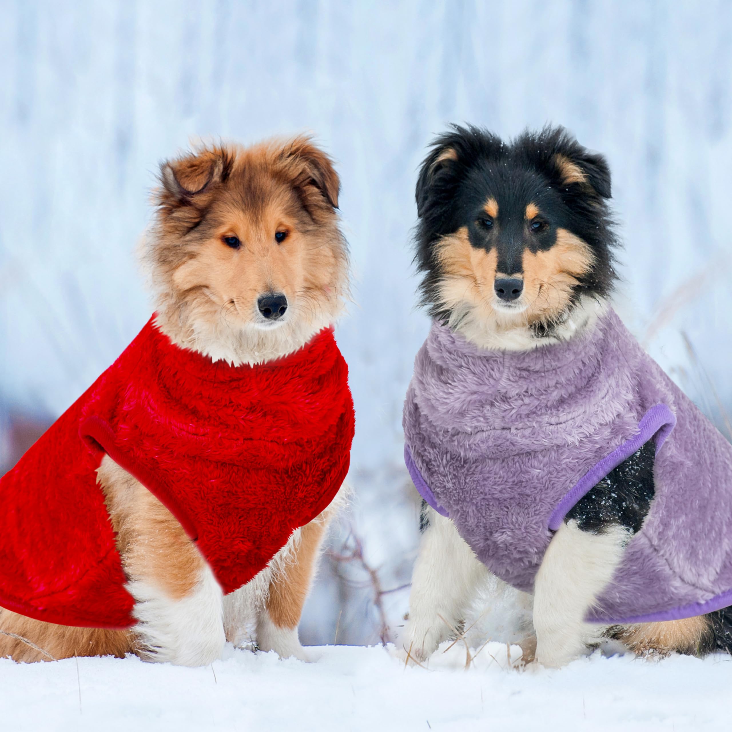 Two-color variants of KAYCOWZA dog jackets for stylish winter looks.