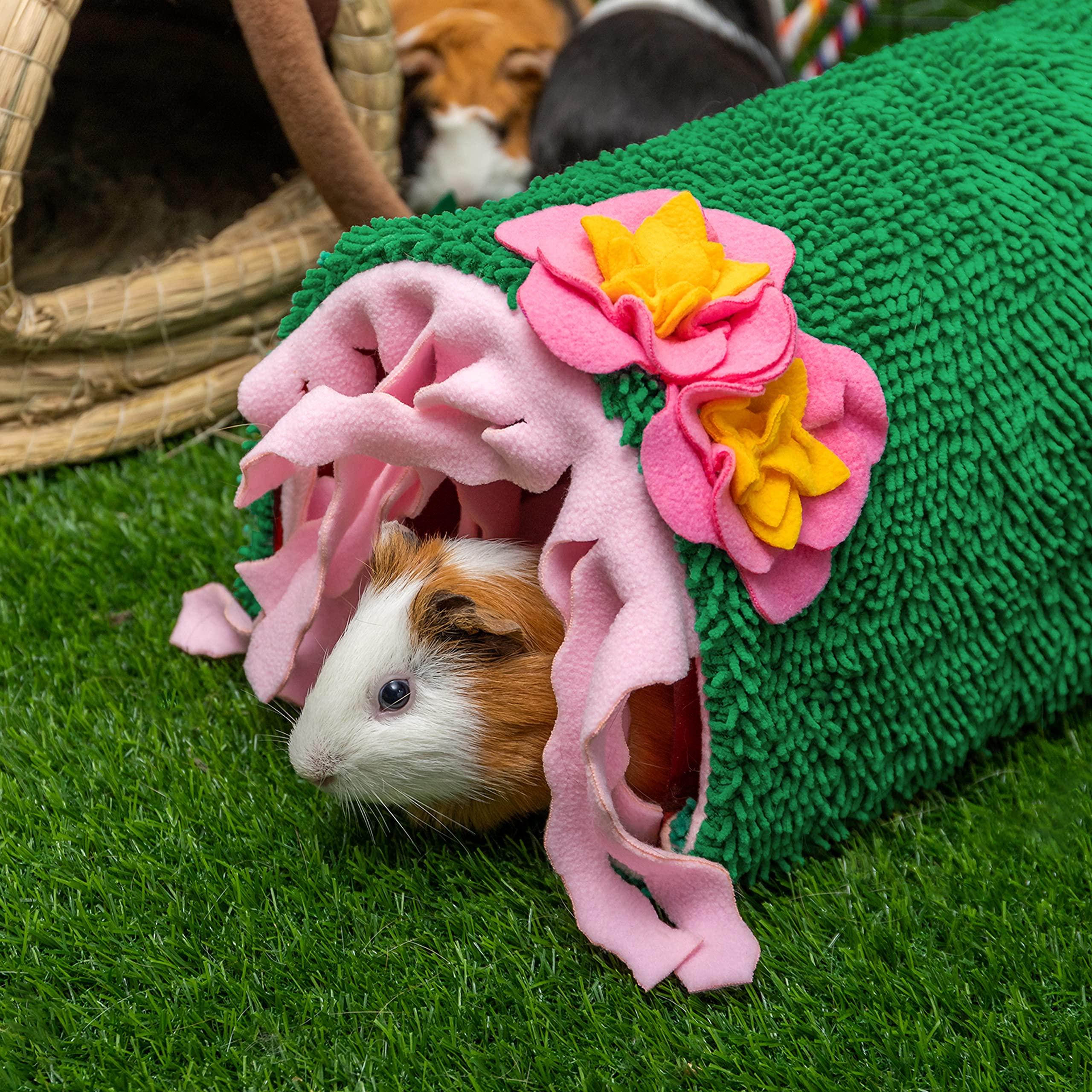 KAYCOWZA Guinea Pig Hideout playscape encourages running, chasing, and natural exploration.