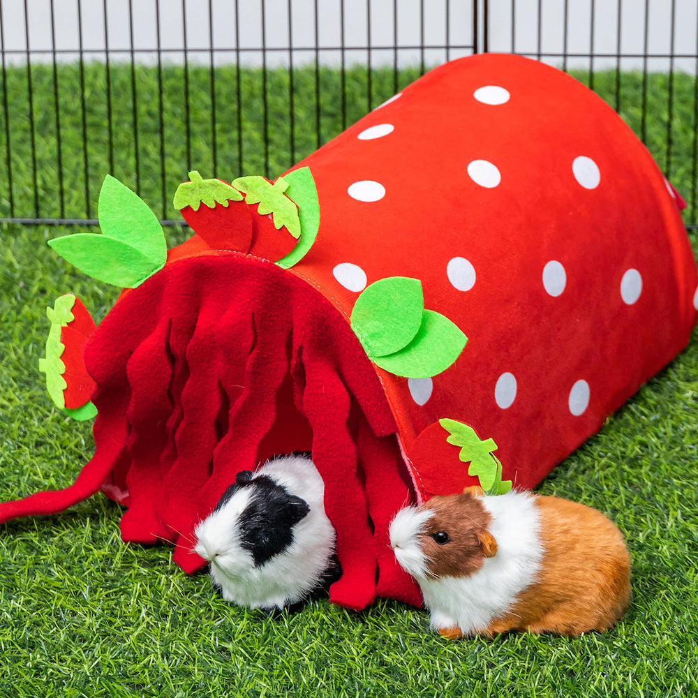 Kaycowza in-cage setup shows inviting hideout for rest and play