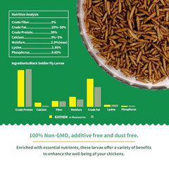 KayHEN BSFL detail closeup showcases rich protein content for poultry nutrition.