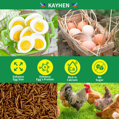 KAYHEN dried BSFL close-up emphasizes calcium-rich poultry nutrition.