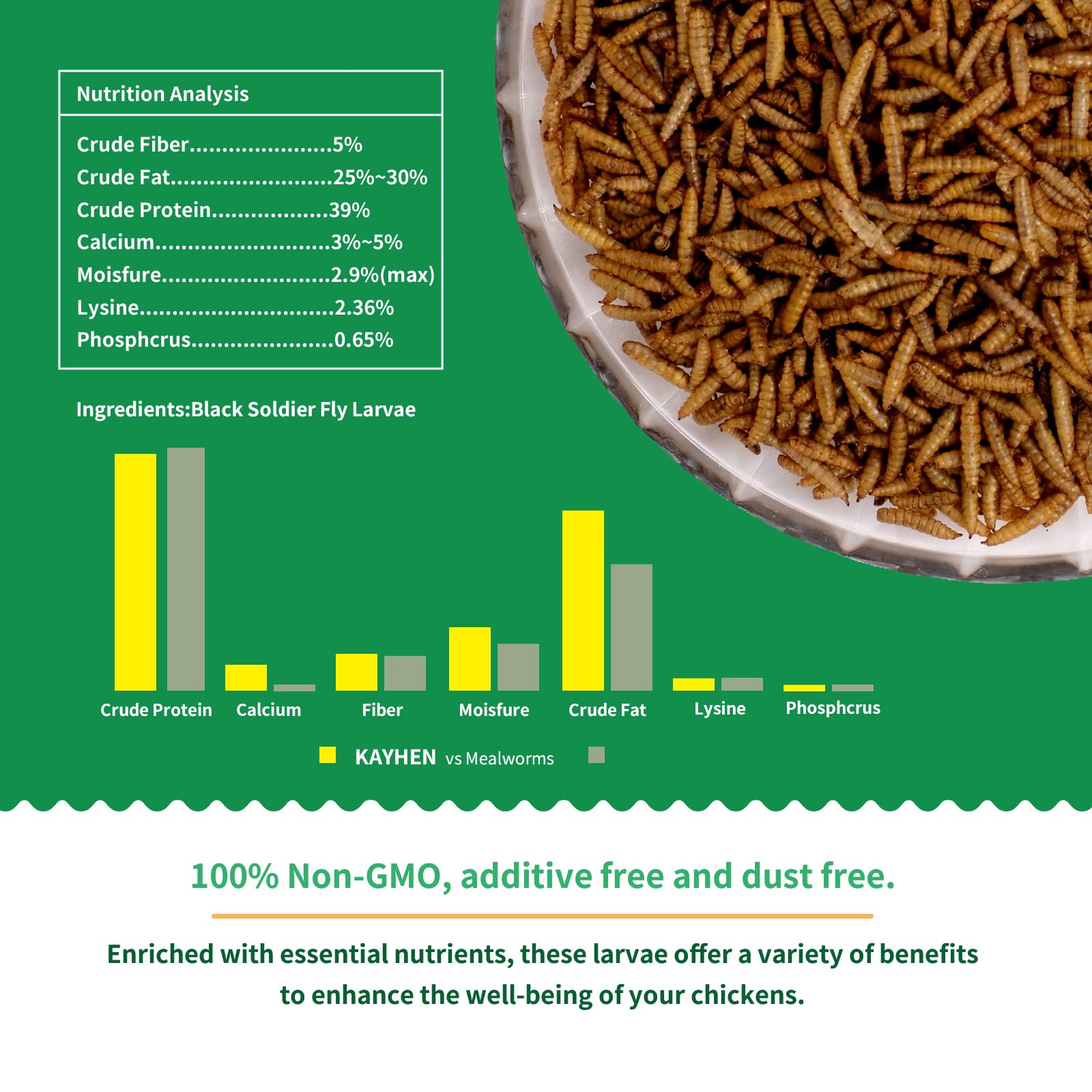 KAYHEN BSFL in feeder demonstrates a high-protein poultry supplement.