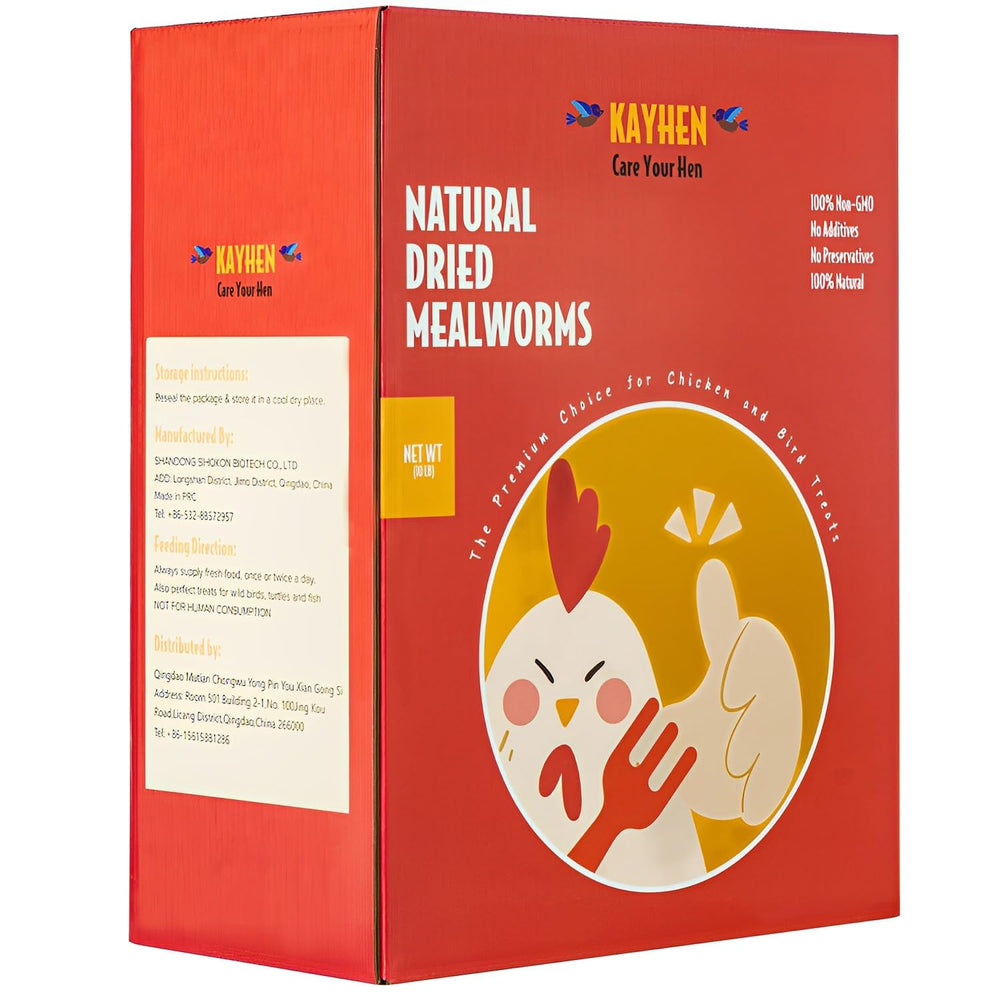 KayHEN dried mealworms in a chicken feeder bowl for protein boost