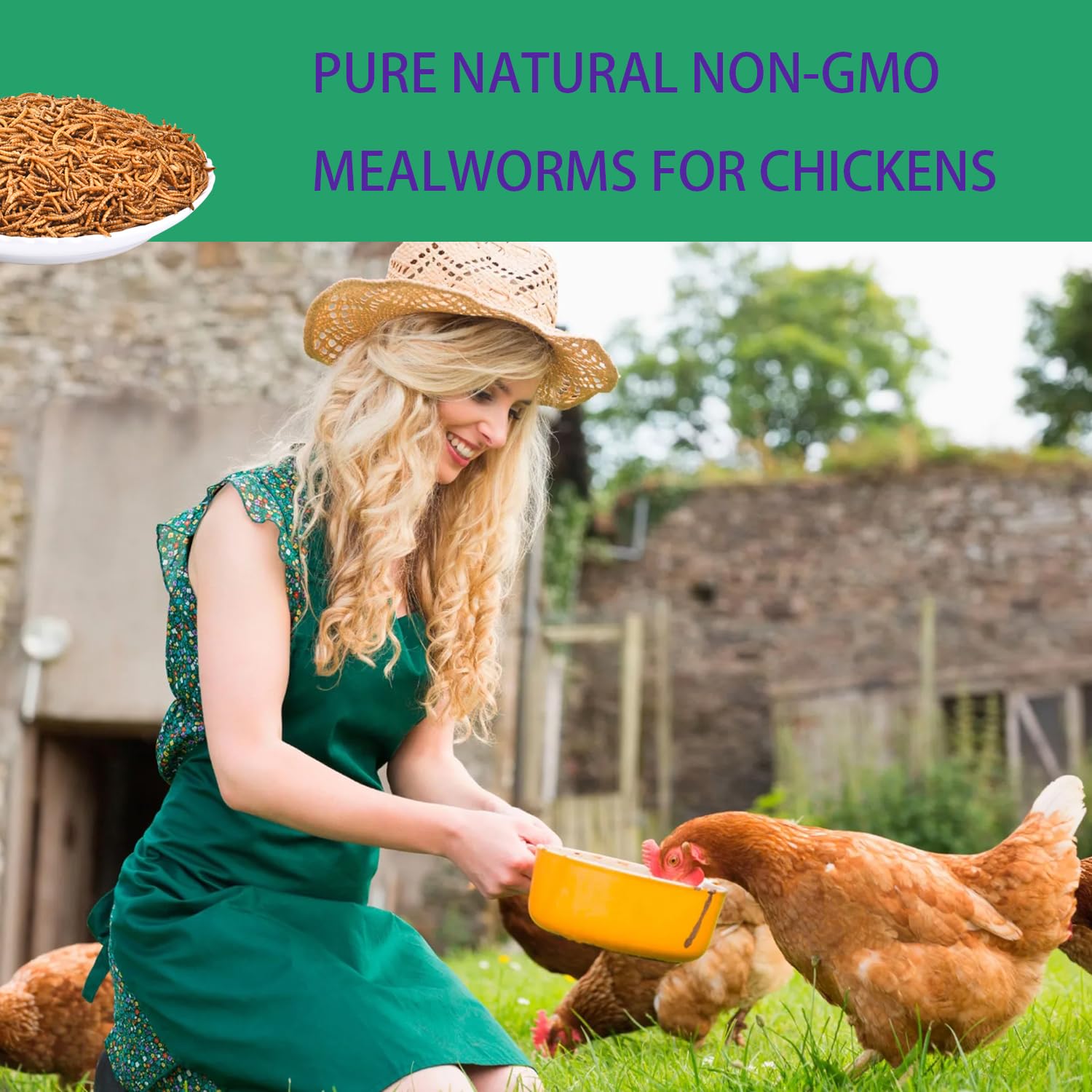 KAYHEN Dried Mealworms chicken-dispense demonstrates convenient feeding and foraging support.