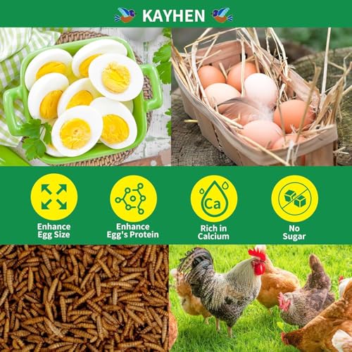 KayHEN quick-drying texture image suggests crispness and flavor retention.
