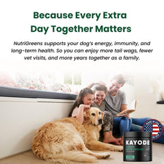 Kayode Canine NutriGreens bowl with chews supports skin health during meals.