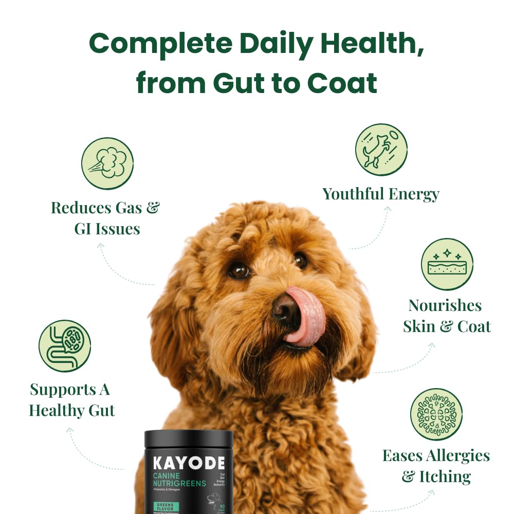 Kayode NutriGreens chews close-up for vibrant energy and gut support.