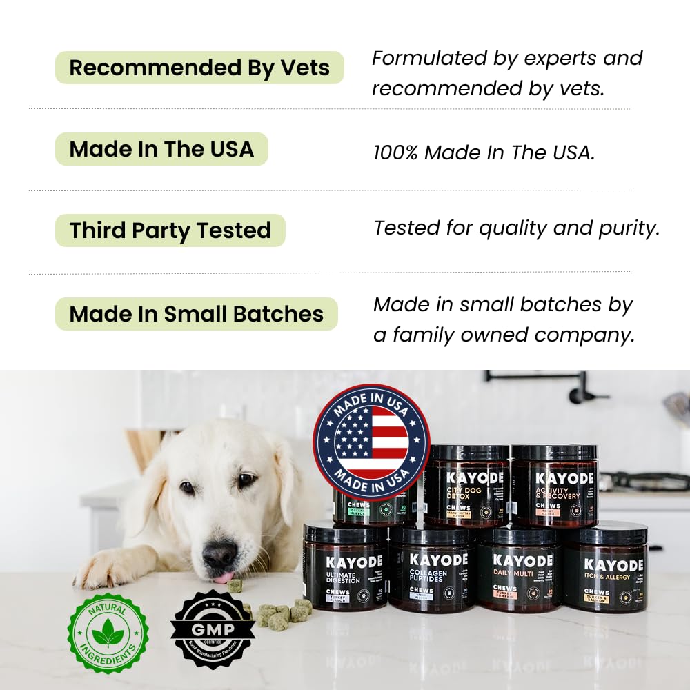 Kayode Canine NutriGreens dog enjoying a walk with vitality.