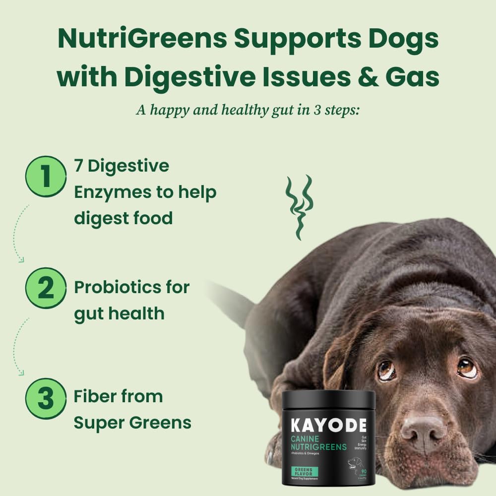 Kayode NutriGreens ingredients highlight spirulina, kelp and berries for nutrition.