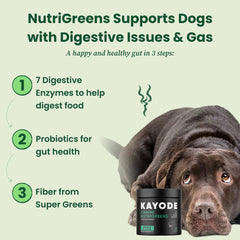 Kayode NutriGreens ingredients highlight spirulina, kelp and berries for nutrition.