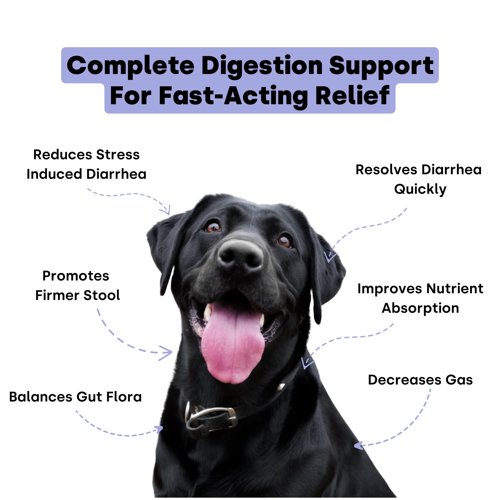 Kayode Ultimate Digestion chews-closeup pumpkin-enzyme blend aids digestion
