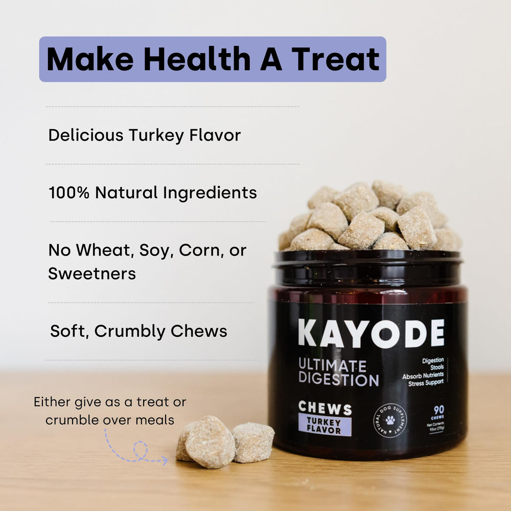 Kayode Ultimate Digestion dog-chews in jar for convenient daily dosage
