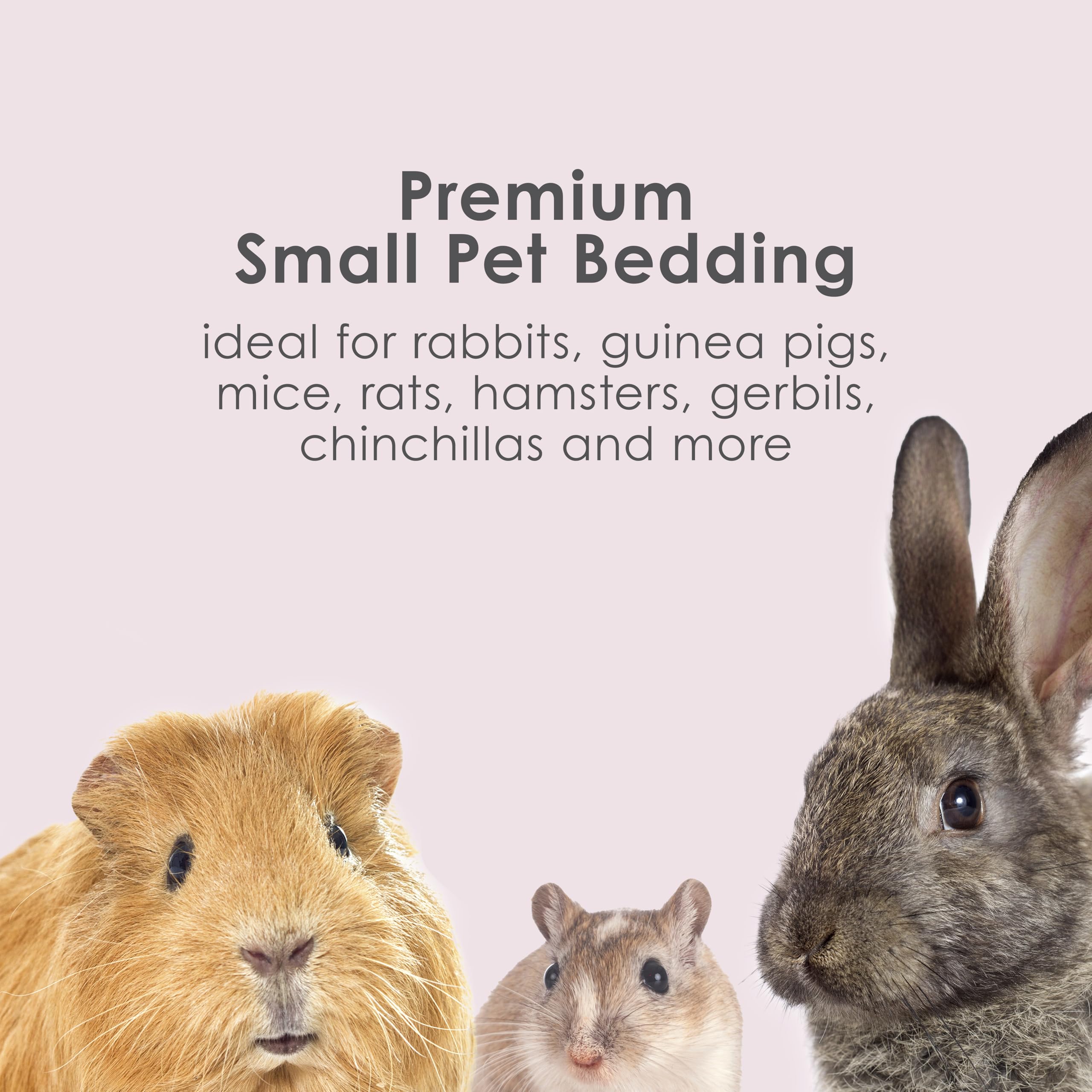 Kaytee bedding plum dry habitat suggests low-dust, soothing environment during play or rest.