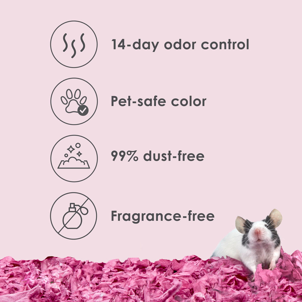 Kaytee bedding plum odor-control 14days shows a fresh-smelling cage without overpowering fragrances.
