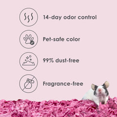 Kaytee bedding plum odor-control 14days shows a fresh-smelling cage without overpowering fragrances.