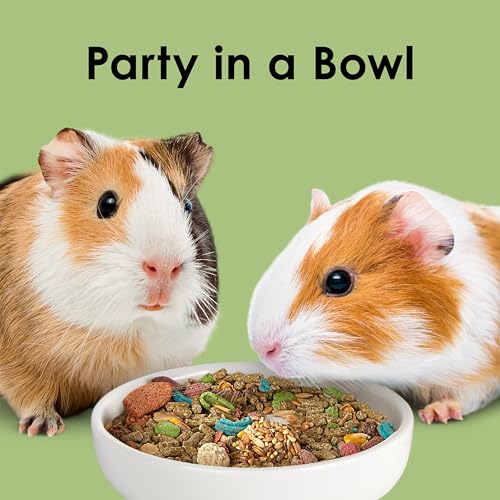 Kaytee Fiesta nutrition-forward design supports balanced daily meals with varied textures.