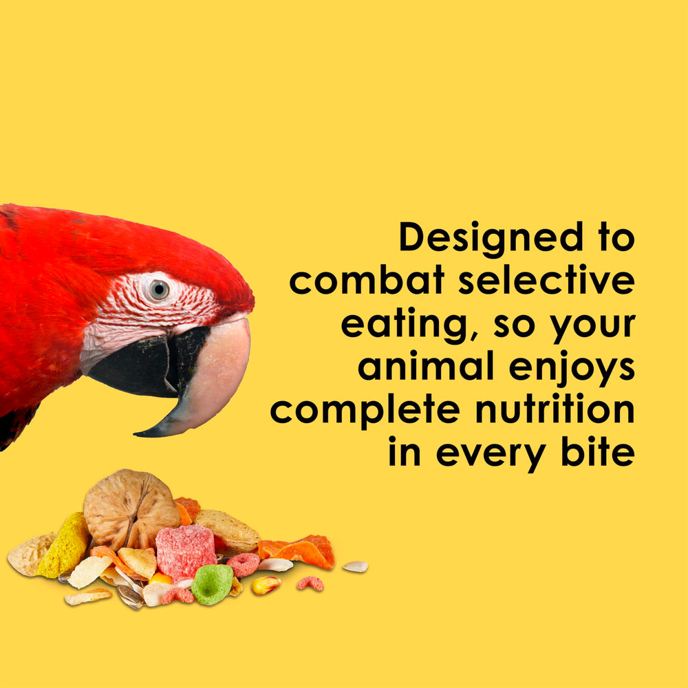 Kaytee Fiesta Big Bites antioxidants and omega-3s support overall vitality