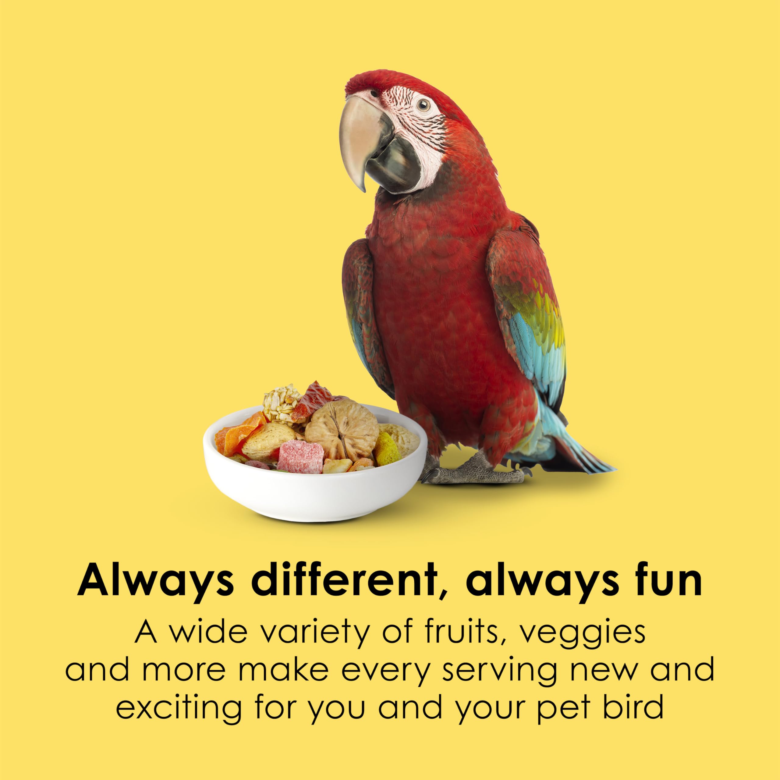 Kaytee Fiesta Big Bites foraging shapes invite interactive feeding for macaws
