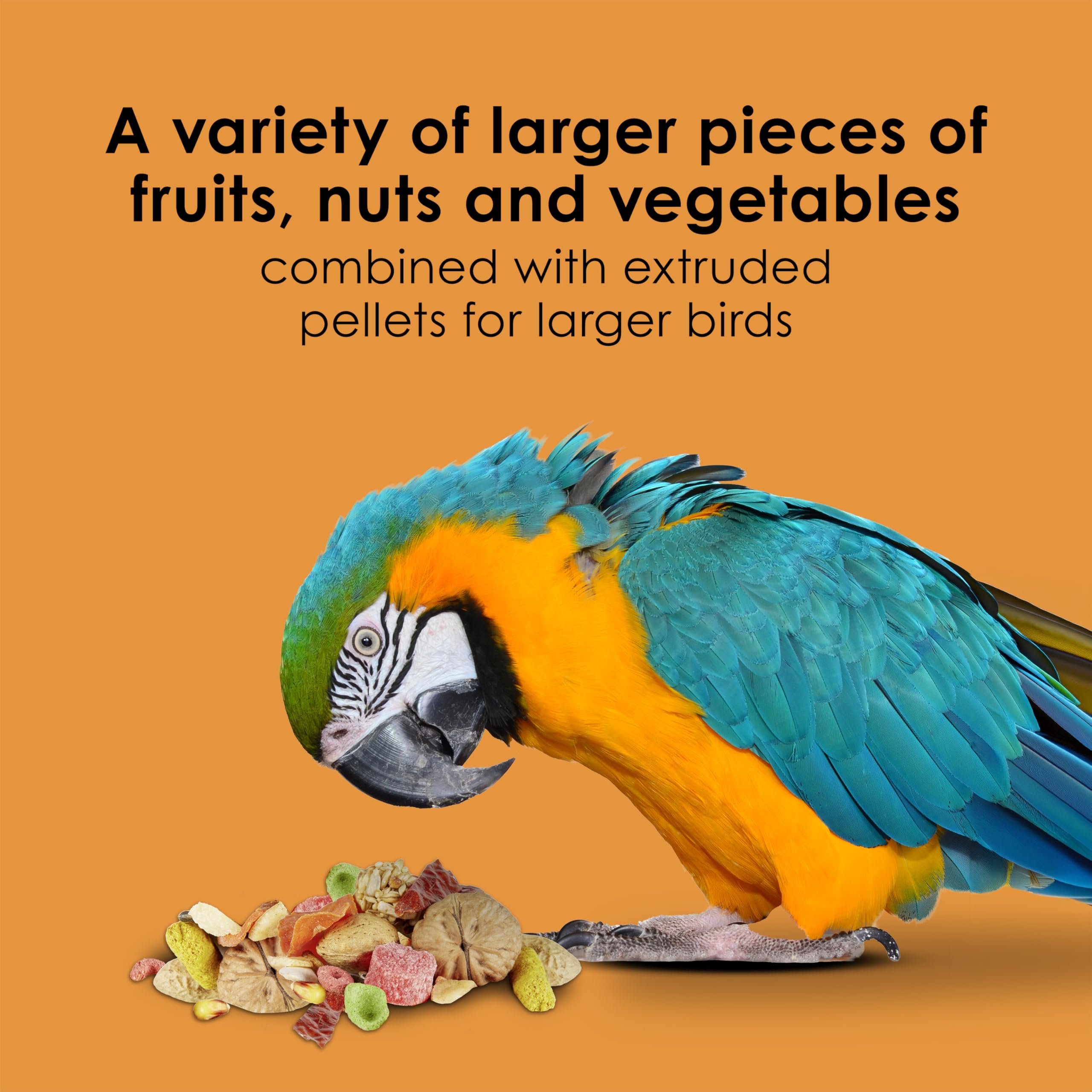 Kaytee Fiesta Big Bites macaw meal in action highlights large-beak suitability